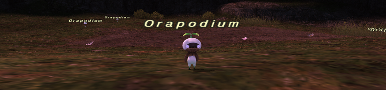 マンドラゴラの容姿とか名前の由来とか調べてみた。_e0401547_21014698.png