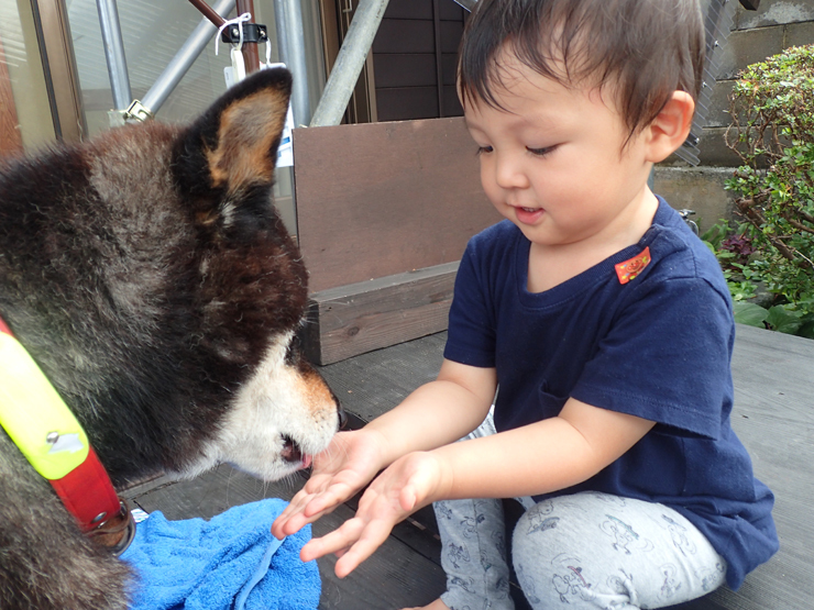 f0214649_05041331.jpg