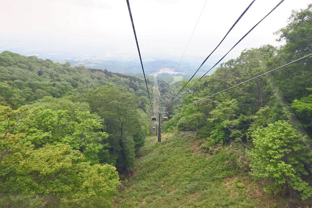 e0129656_22400599.jpg