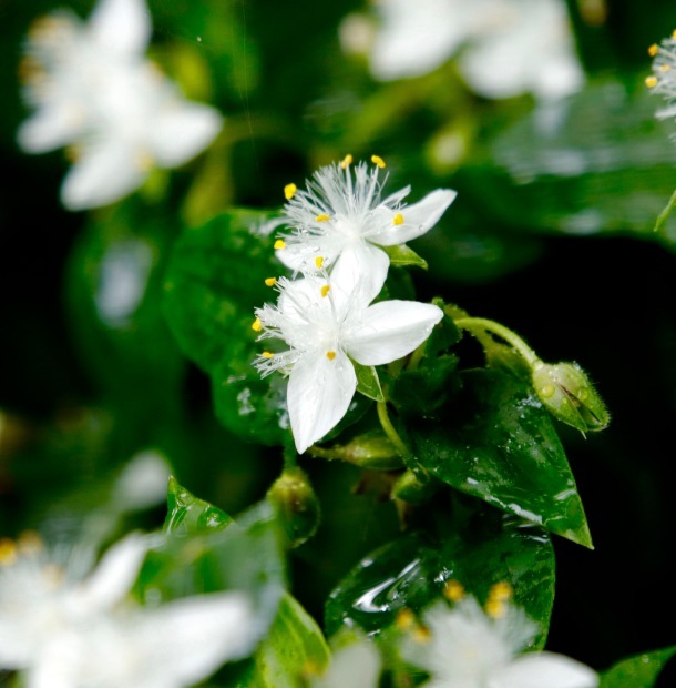 a0248459_14094931.jpg