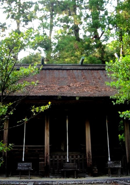 【熊野古道・伊勢路】一気参拝旅②:熊野速玉大社(神武天皇東征)&勝浦温泉編_c0119160_21000768.jpg