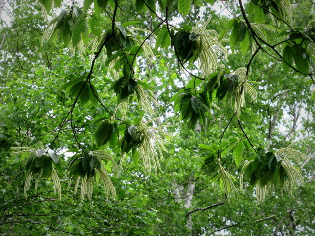 f0236260_02234944.jpg