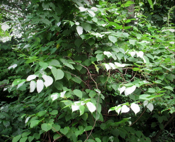 f0236260_19560103.jpg