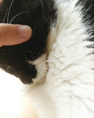 c0172261_09563140.jpg