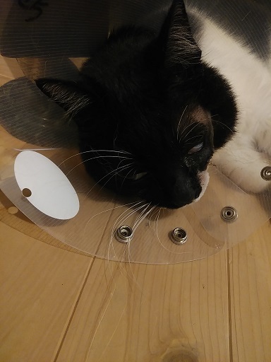 c0172261_09563928.jpg