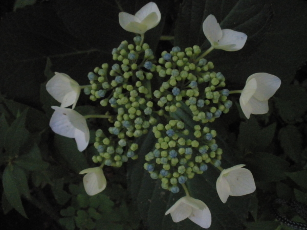 e0338965_22413105.jpg