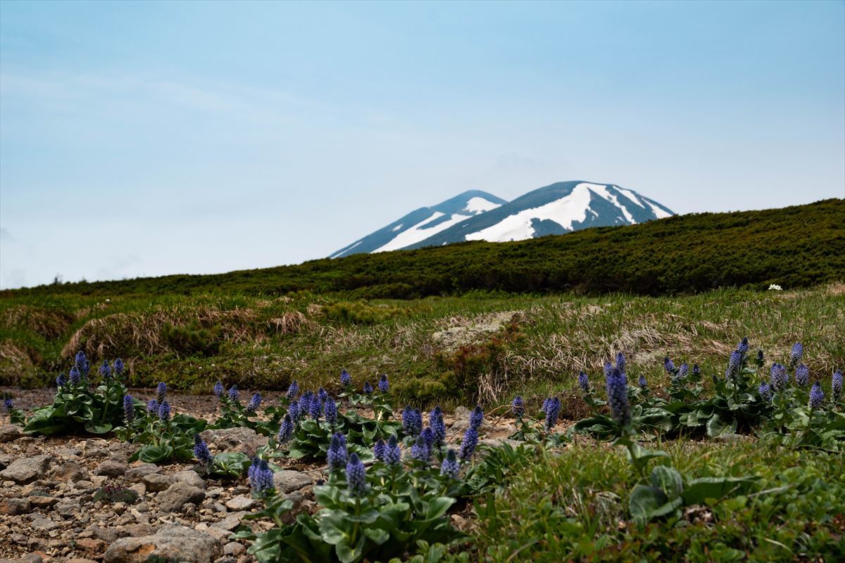 b0281366_20194890.jpg