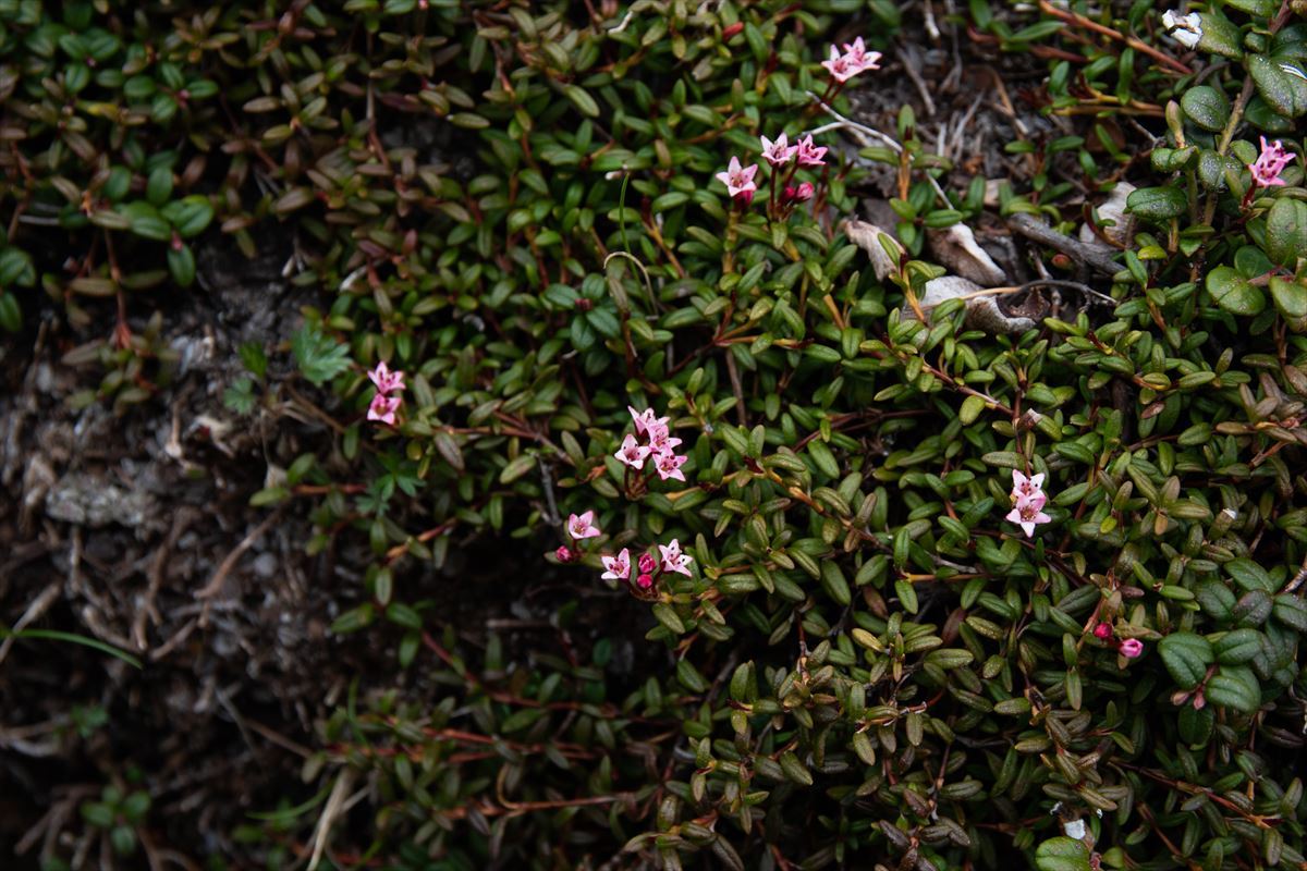 b0281366_20212110.jpg