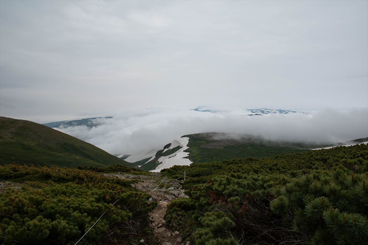 b0281366_20215775.jpg