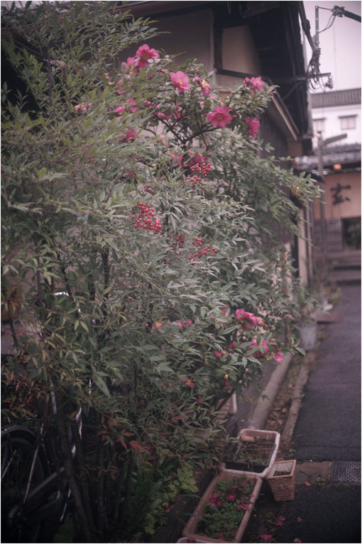 c0168172_21441764.jpg