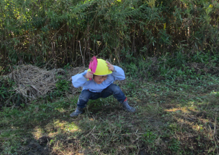 a0381579_13061155.png