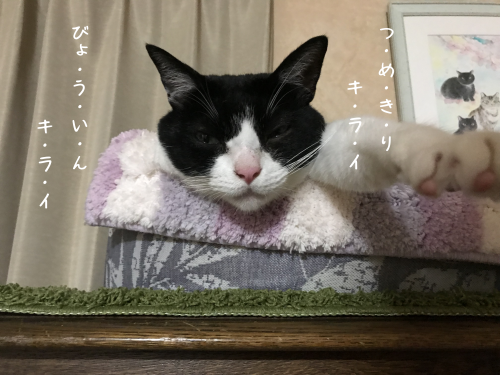 a0216583_22165284.png
