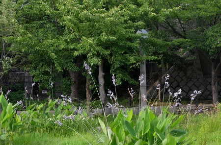 c0229483_930735.jpg