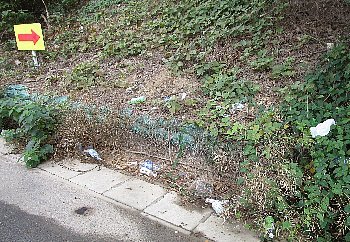f0003283_07442993.jpg