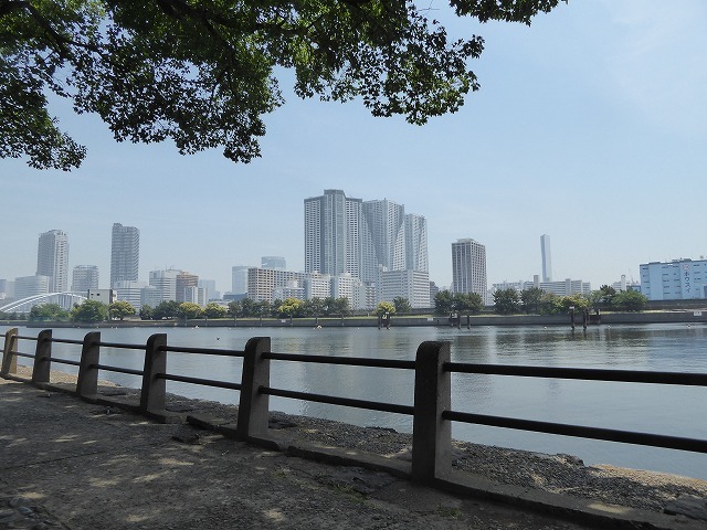 浜離宮のお気に入りベンチ♪　5月というのに浜離宮は真夏だった！_b0287088_16243640.jpg