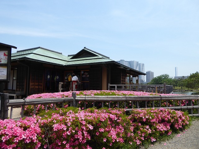 浜離宮のお気に入りベンチ♪　5月というのに浜離宮は真夏だった！_b0287088_16262449.jpg