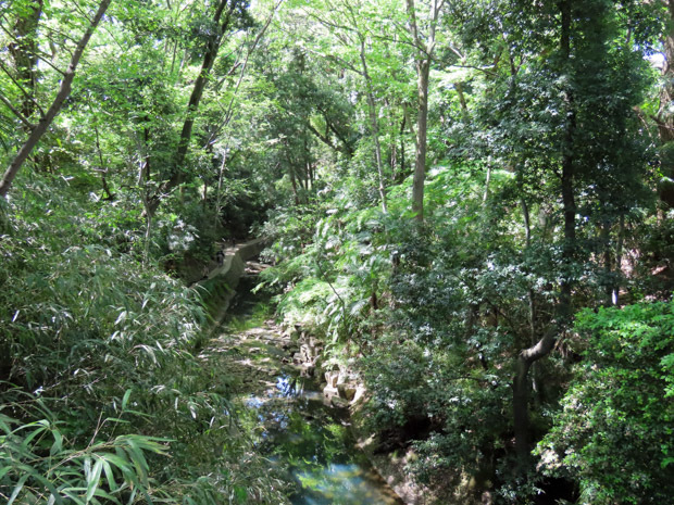 b0234690_16182968.jpg