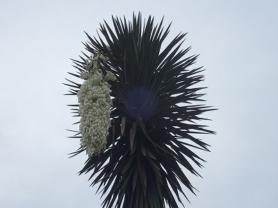 f0203094_16405005.jpg