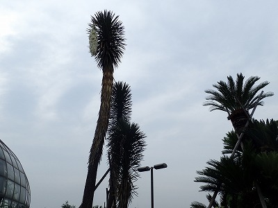 f0203094_16422919.jpg