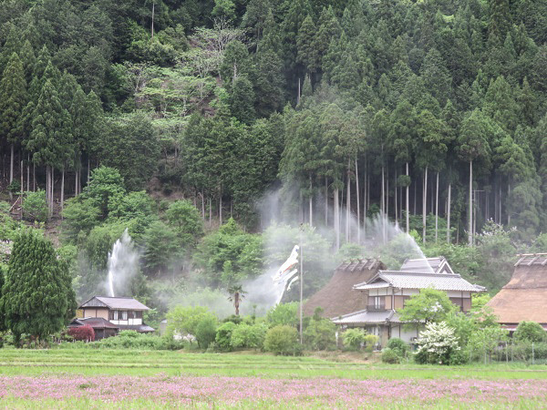 f0346196_14581755.jpg