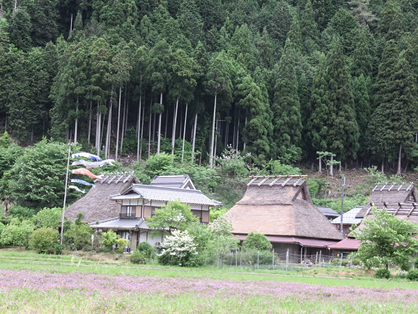 f0346196_14582555.jpg