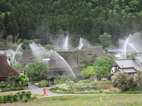 f0346196_15070877.jpg