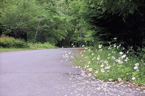 c0090198_16492930.jpg