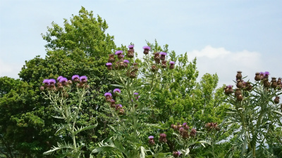 c0125501_23062032.jpg