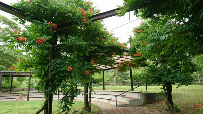 c0125501_23065892.jpg