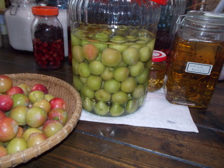 a0203003_17450679.jpg