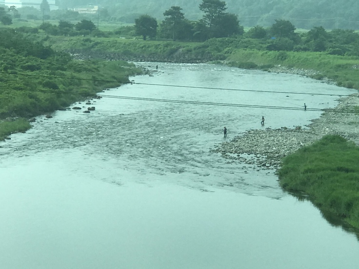 梅雨の合間の相模川。_c0212604_7241853.jpg
