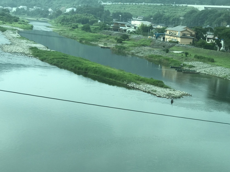 梅雨の合間の相模川。_c0212604_7253889.jpg