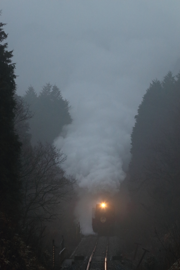 雨とヘッドライト　- 2018年・山口線 -_b0190710_22322593.jpg