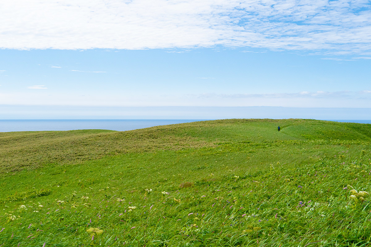礼文　天上の花園を行く　Rebun Isle, Hokkaido #SONYα9_c0065410_22593860.jpg