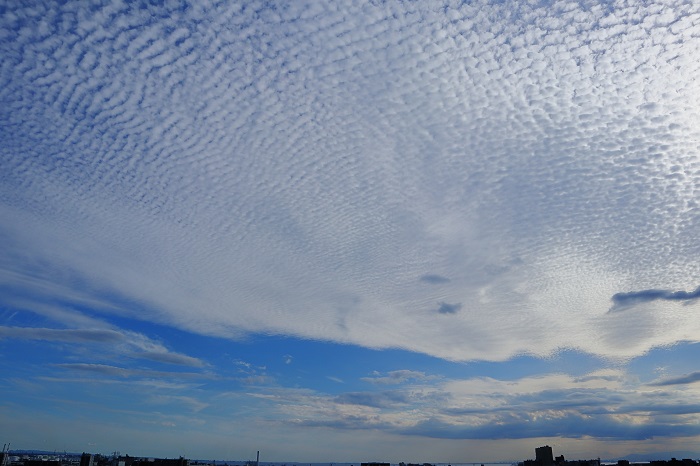 b0268615_725680.jpg