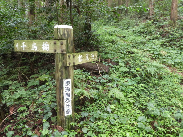 d0170615_20250166.jpg