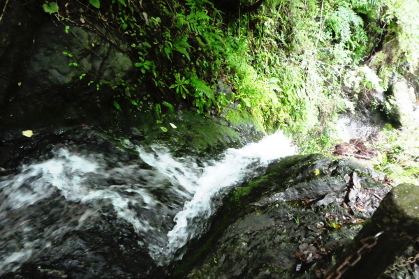 d0170615_20253225.jpg