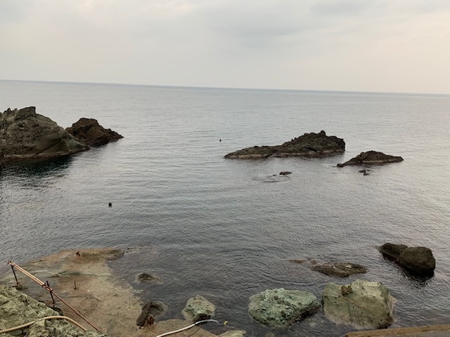 d0070216_19324021.jpeg