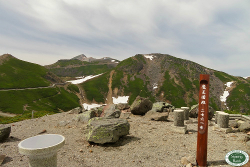 乗鞍岳はお花の季節へ〜_a0353718_21285438.jpg