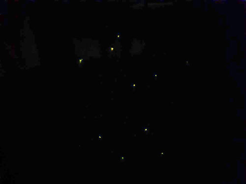 a0214919_22595092.jpg