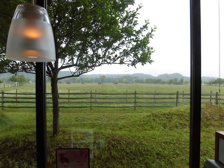 c0204121_13420742.jpg