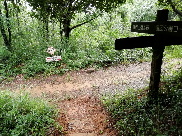 f0193521_20285746.jpg