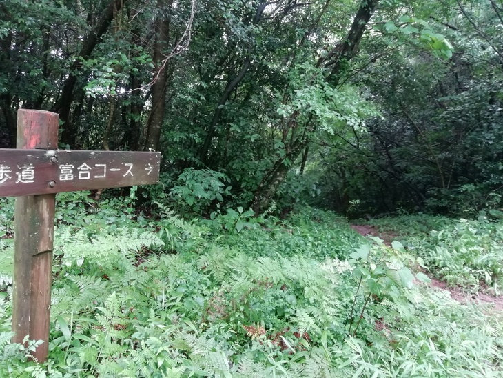 f0193521_20294616.jpg