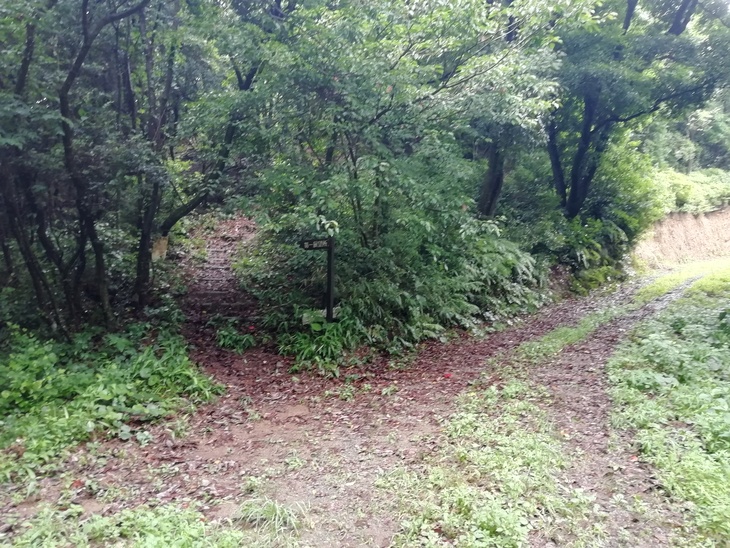 f0193521_20295936.jpg