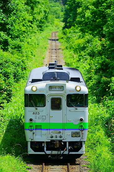 新緑芽吹く北の大地を巡る(4日目)_f0037227_19264802.jpg