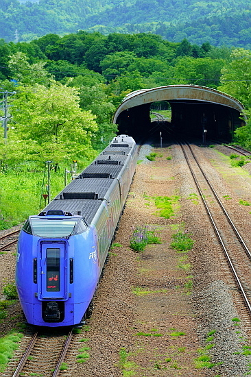 新緑芽吹く北の大地を巡る(4日目)_f0037227_19302198.jpg