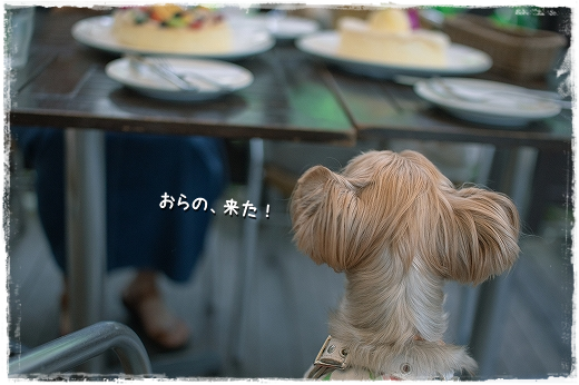 d0179828_11250055.png
