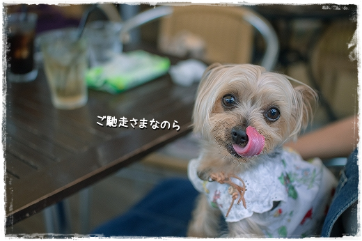 d0179828_11424964.png