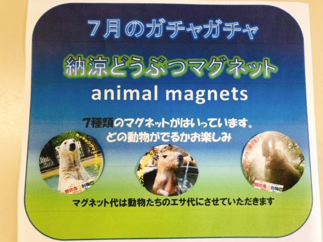 a0116430_11554638.jpeg