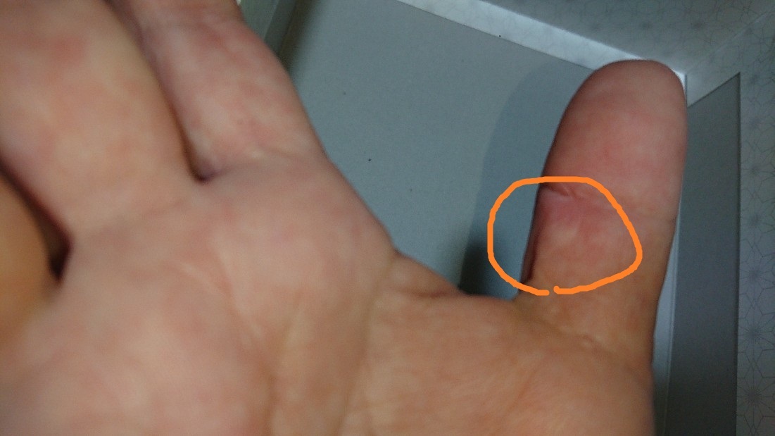 e0137130_22450851.jpg